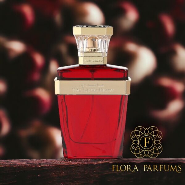 You Never Know - Hind Al Oud - 50ml