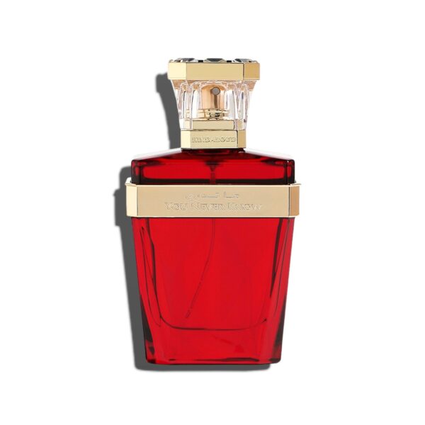 You Never Know - Hind Al Oud - 50ml