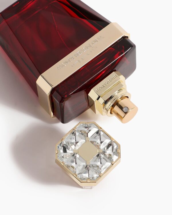 You Never Know - Hind Al Oud - 50ml