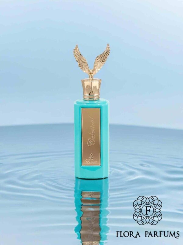Celestial Emir - 100ml – Paris Corner