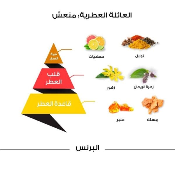 Elbrince – Classic  – Al Majed Oud – Image 5