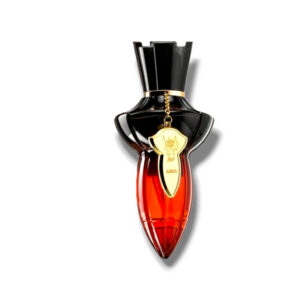 Abia Noir – Ajmal – 75ml